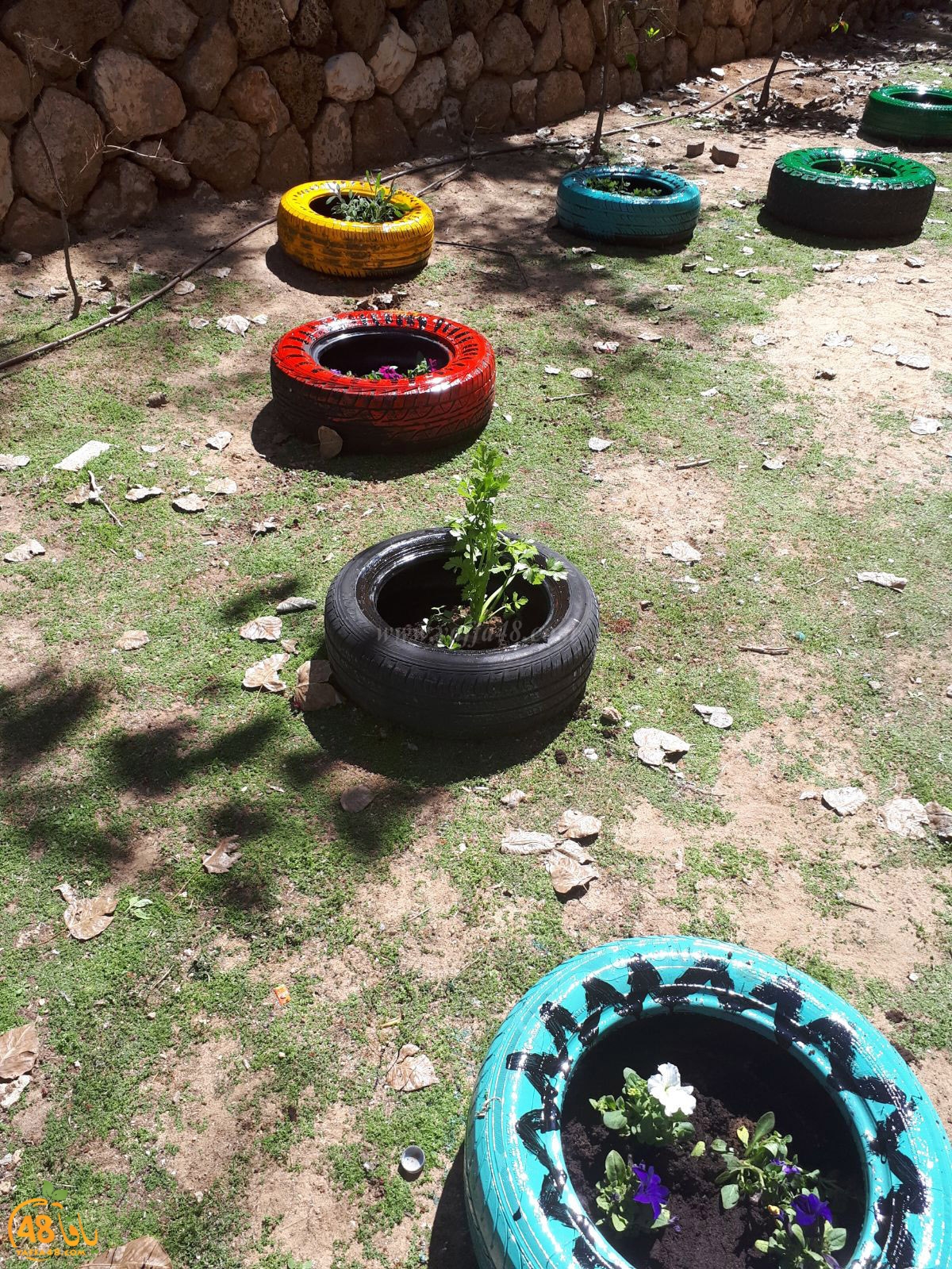 shamelahhqej (16).jpg